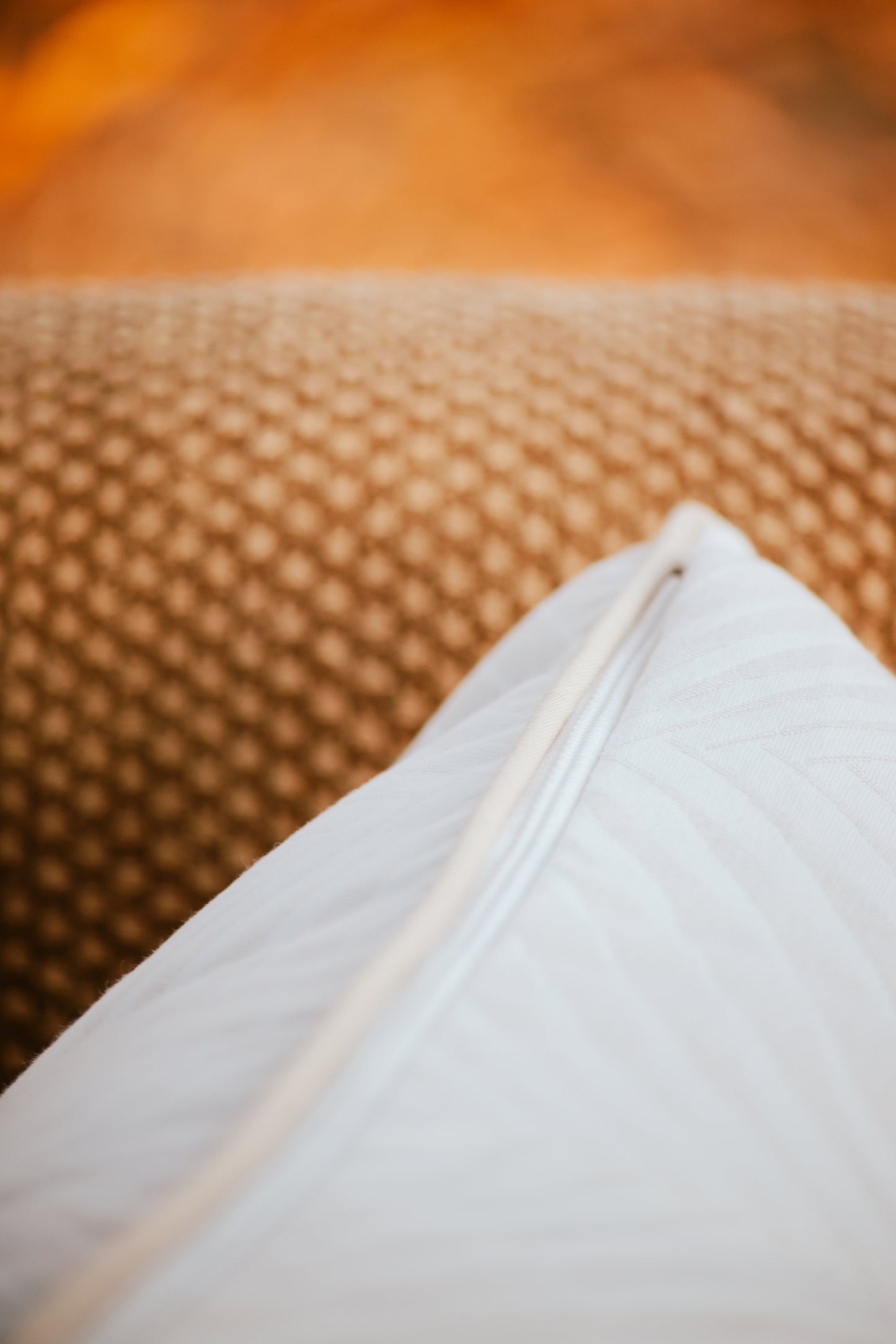 Single Seam Back Cushion